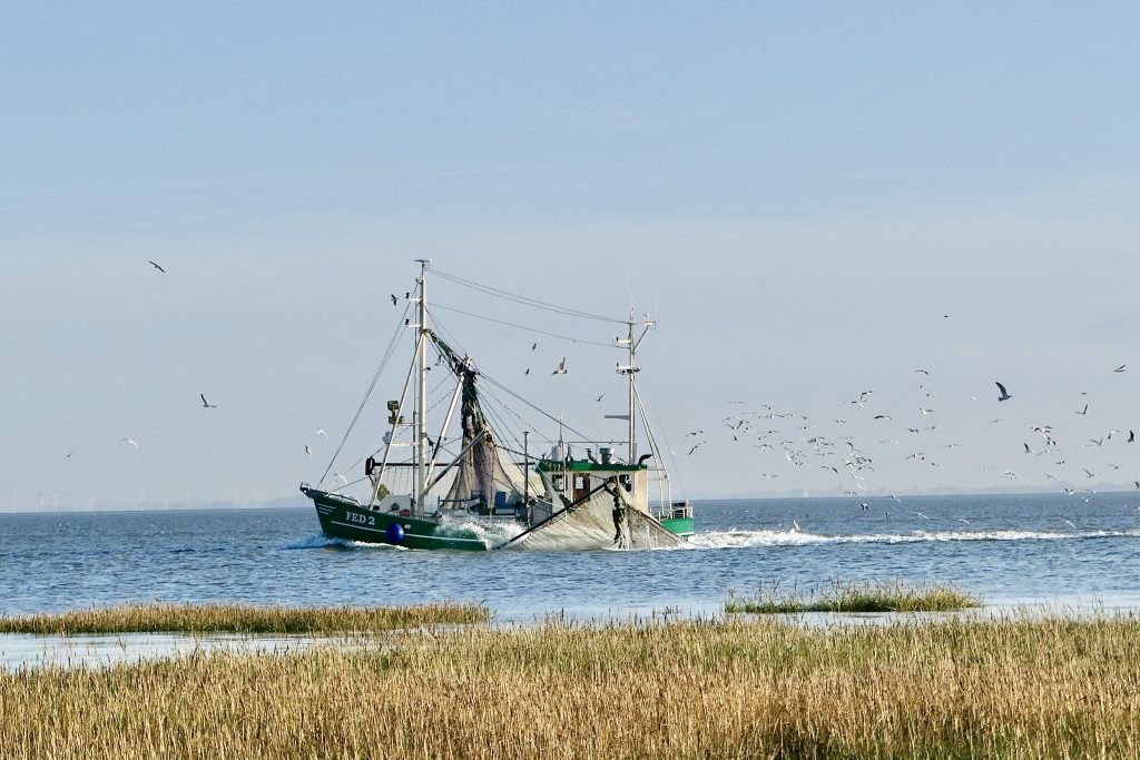 Hafen Fedderwardersiel Urlaub Schiff