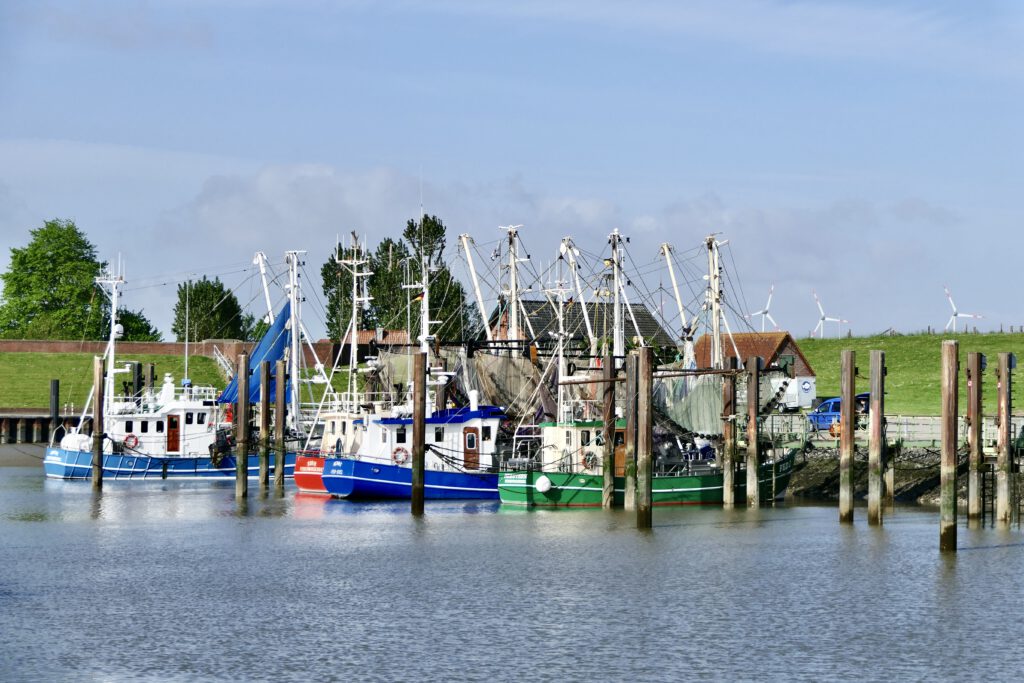 Hakan Henken Reisemobilhafen Fedderwardersiel