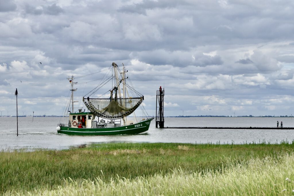 P1080639